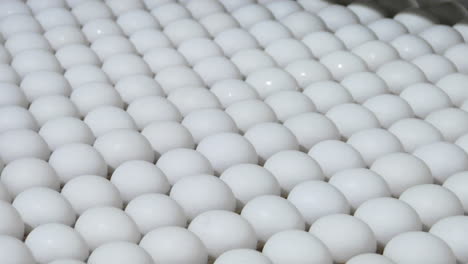 a worker sorts eggs in a factory 1