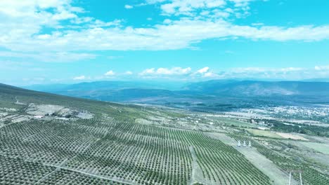 aerial view of a lush green valley with mountains in the background