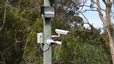 múltiples cámaras de seguridad que monitorean una región boscosa
