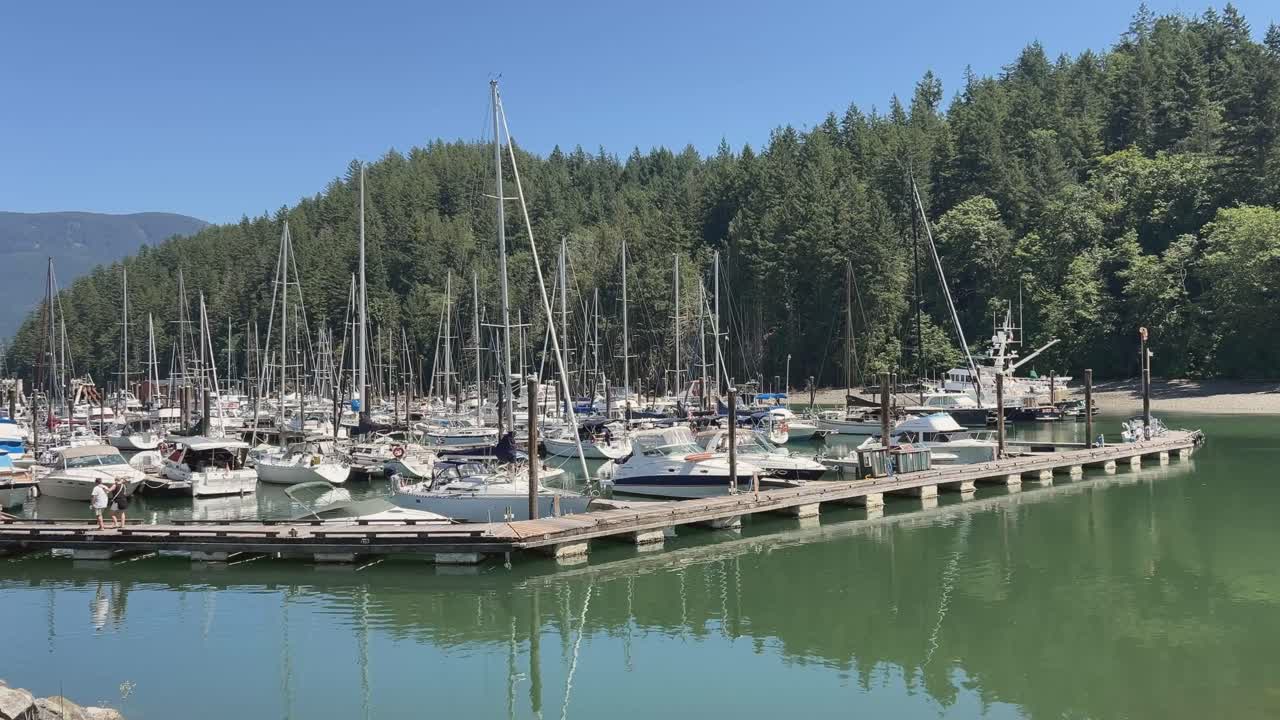 Peaceful summer scene of docked yachts and sailboats at Bowen Island marina near the ferry terminal, surrounded by lush coastal forest under a clear blue sky