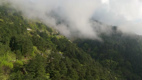 stunning aerial shot of montenegro’s kotor region with forests, fog, and unesco peaks