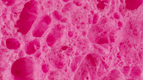 close-up of a pink sponge