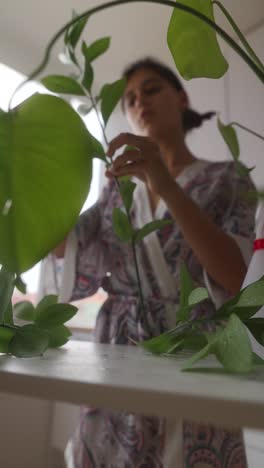 mujer que cuida de plantas de interior