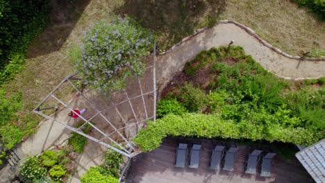 woman seen from above walking a garden pathway in a french villa with insects flying in view, aerial top view follow shot