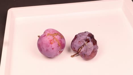 rotten plums with insect infestation