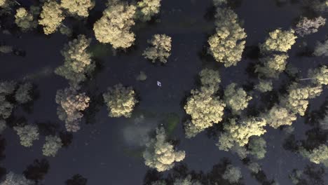man floating on life saver balloon in forest lake, aerial view