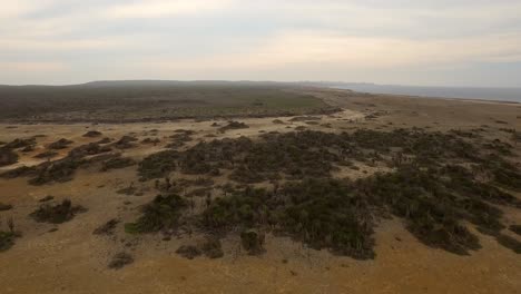 El-Desierto-Seco-Como-El-Paisaje-De-La-Isla-Caribeña-De-Bonaire