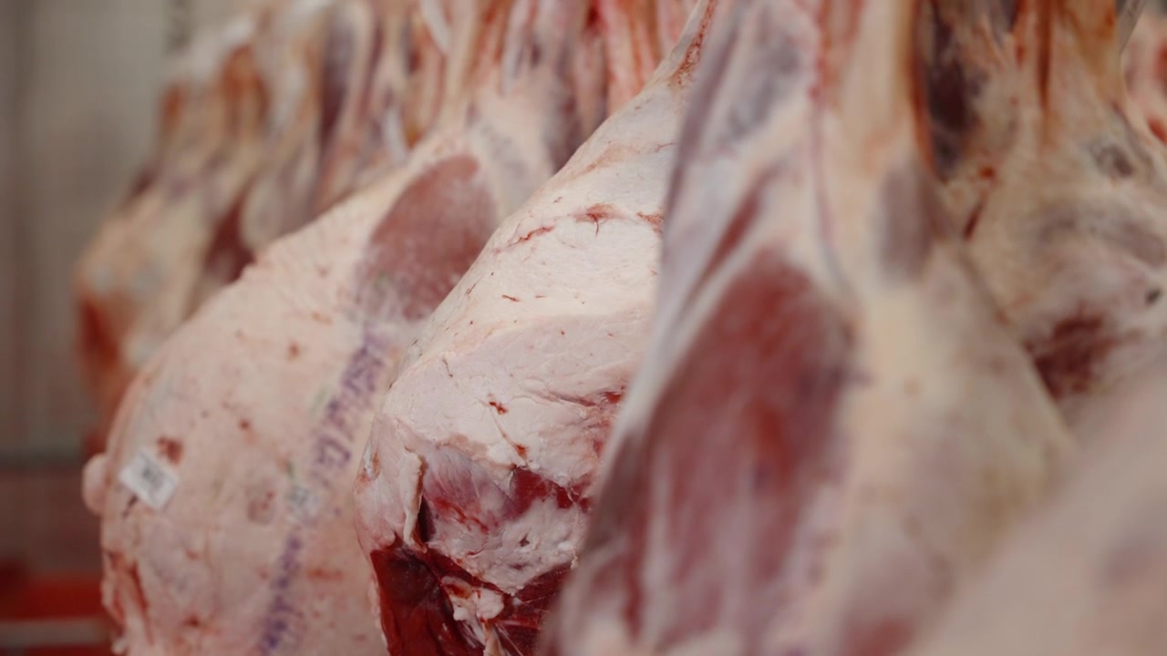 Rows of split meat sides fill the frame in a meat hanging cooler at a large industrial packing facility.