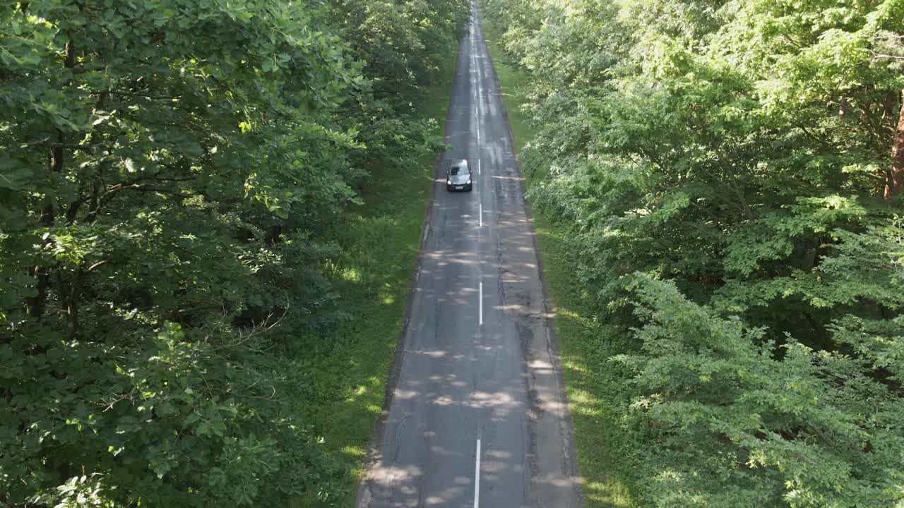 A lone car travels along a narrow, straight road flanked by lush green trees. The sunlight filters through the canopy, creating dappled patterns on the asphalt and evoking a calm, natural atmosphere.