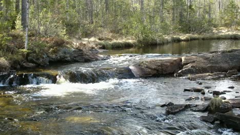 Panning-aerial-circle-view-of-a-small-river-in-slow-motion