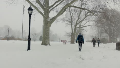 this is a shot of people walking during a blizzard-snowstorm in prospect park in brooklyn, ny