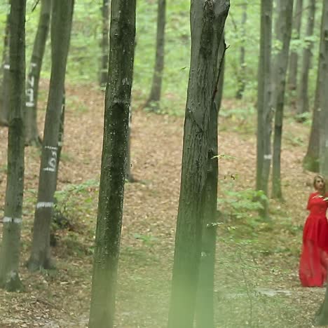 una chica romántica y elegante en el bosque.
