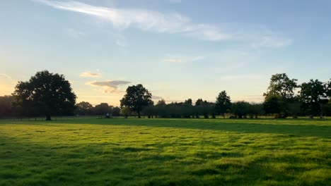 Camera-panning-across-beautiful-grass-field-at-sunset-in-English-nature