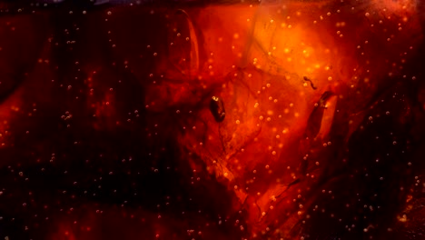 fresh fizzy coke in the glass with bubbles background movement and ice cubes