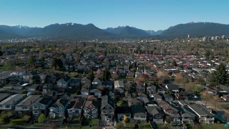 aerial shot over vancouver city neighborhood dunring cherry blossom season with the mountains in the background on a sunny day, burnaby suburban area, british columbia, canada