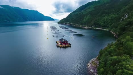 Luftaufnahmen-Von-Lachsfarmen-In-Norwegen