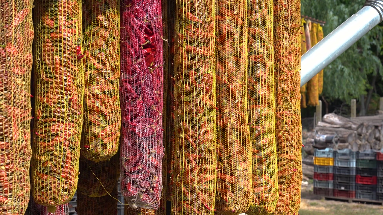Traditional drying process for Hungarian paprika, hanging mesh bags full of red peppers