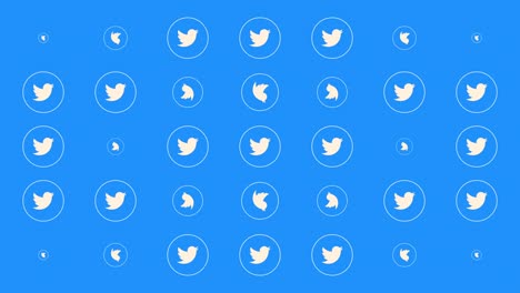 social twitter icons on network background