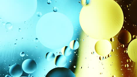 real close up oil bubbles in water rotation with color gradient abstract mixing background