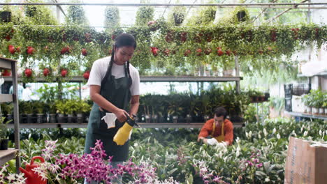 jardineros que trabajan en interiores