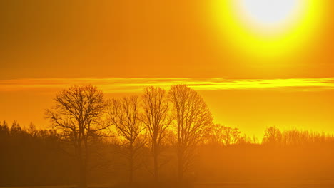 amanecer amarillo súper brillante en zona rural con siluetas de árboles, lapso de tiempo