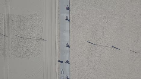 toma aérea de drones de 5 personas en bicicleta montando en el paseo marítimo de la playa