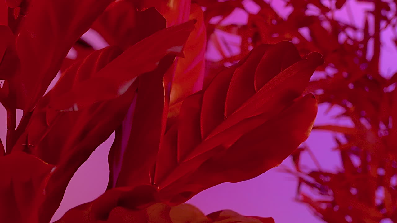 plantas alienígenas vermelhas com folha no mundo de fantasia habitável com atmosfera rosa