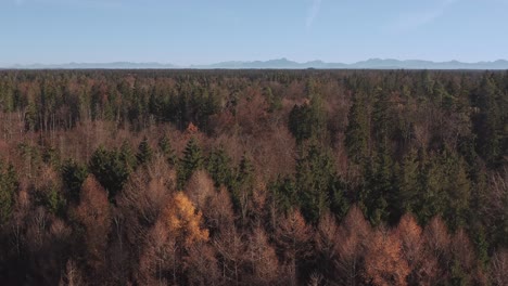 Forest-up-to-the-mountain-range---Crane-reveal-shot-from-a-low-angle-up-to-the-sky