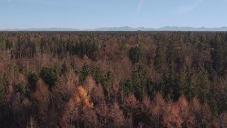 forest up to the mountain range - crane reveal shot from a low angle up to the sky