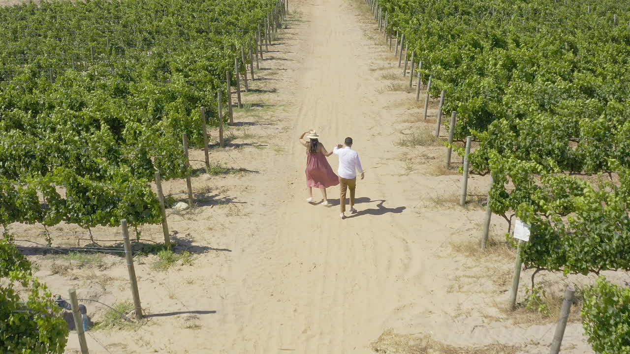 It's a beautiful day to walk through the vineyards