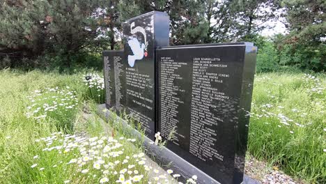 white wild flowers growing around black granite memorial with list of plane crash casualties