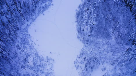 Aerial-drone-shot-of-animal-tracks-on-a-snow-covered-icy-lake-in-the-wilderness