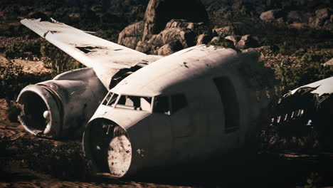plane wreckage on ground surrounded by dense vegetation after crash incident