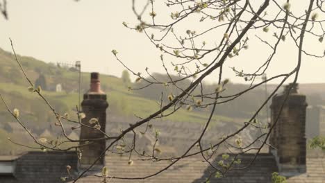 Blick-Auf-Das-Yorkshire-Valley-Durch-Zwei-Schornsteine