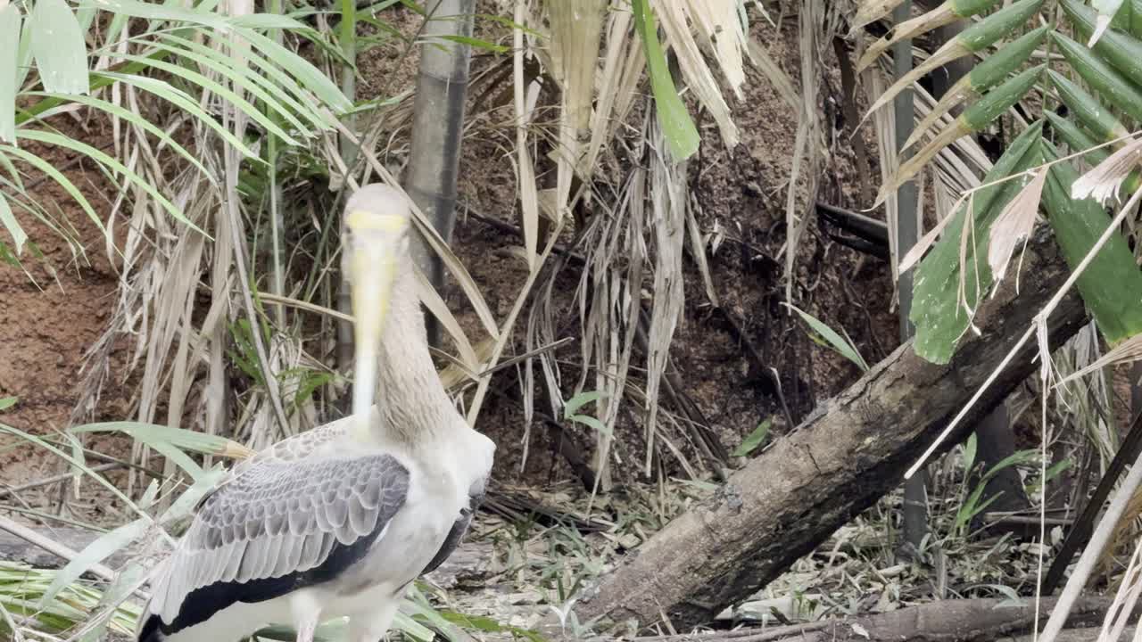 Asian open bill in Bangkok Thailand