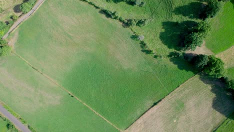 green cultivated fields. aerial top-down forward