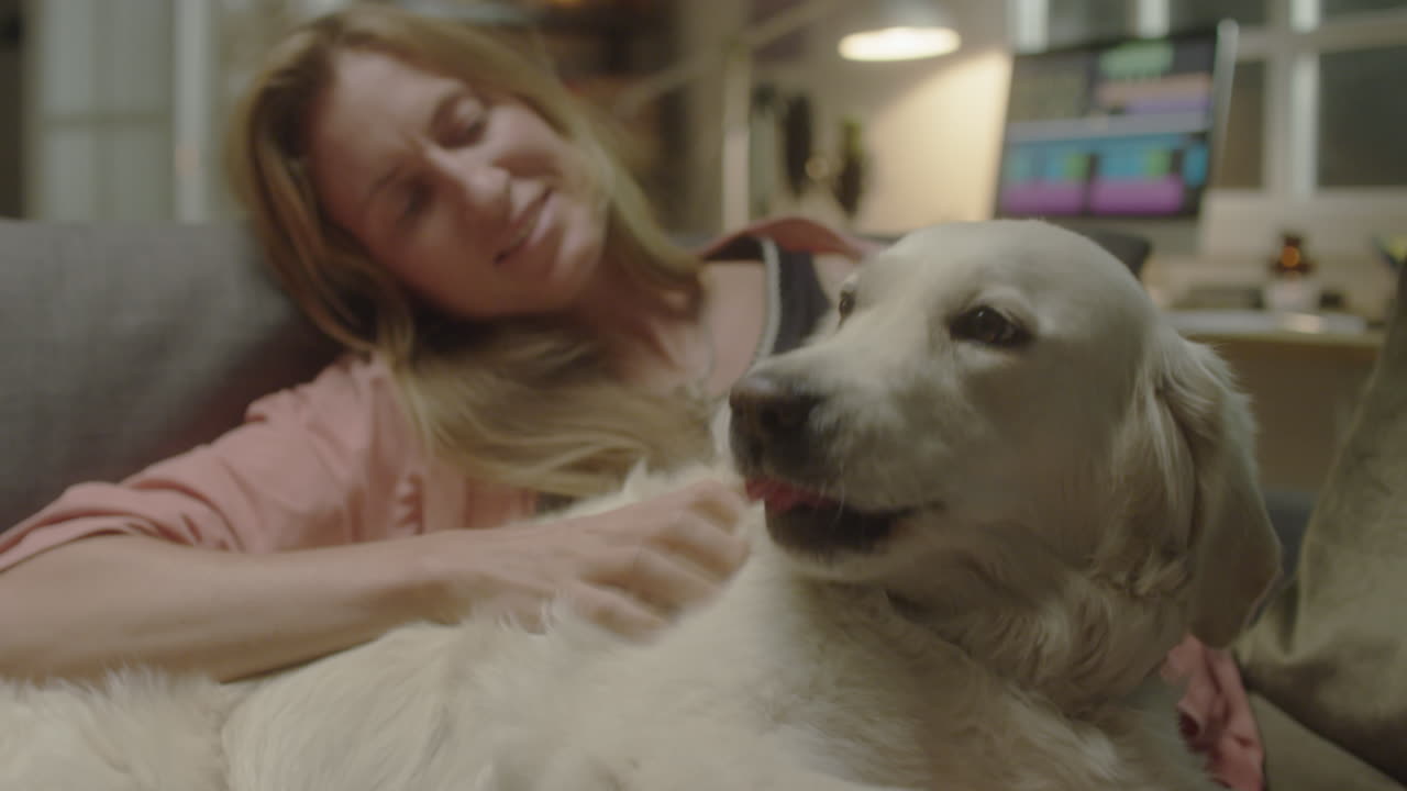 Adorable Dog Enjoying Being Pet by Female Owner