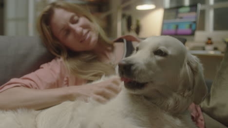 adorable dog enjoying being pet by female owner