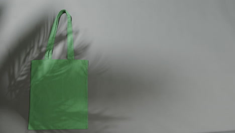 sombra de la hoja moviéndose sobre la bolsa verde en fondo gris, espacio de copia, cámara lenta