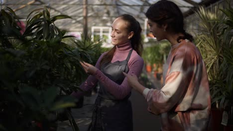 una florista joven sonriente caminando con un cliente y mostrándole diferentes plantas, explicando información. una mujer joven está escuchando atentamente a la florista