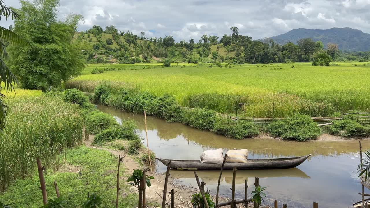 Panoramiczny widok pola ryżowego w Ambinanitelo na Madagaskarze.
