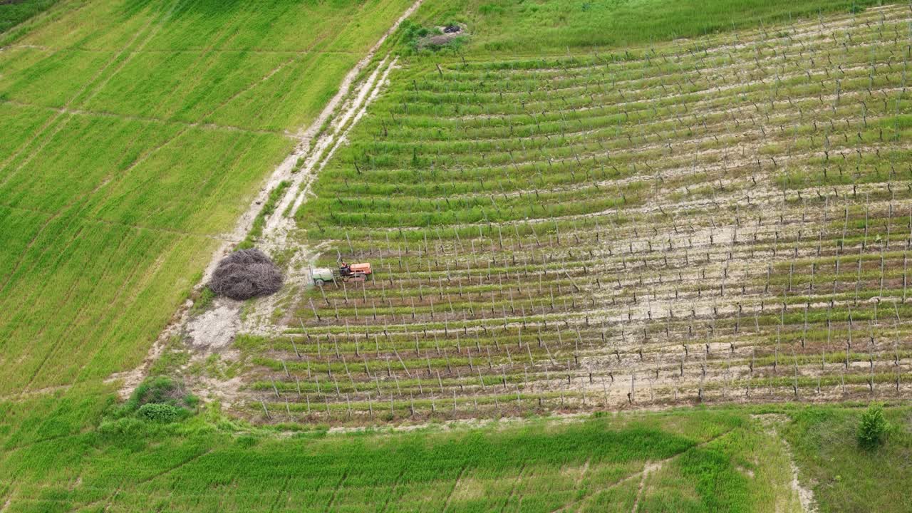 Aerial farmland view showing agricultural tractor spraying pesticides across vineyards uphill with surrounding green fields and vegetation in Piacenza province, Emilia Romagna, Italy