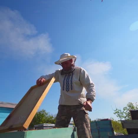 man in protective hat on apiary. beekeeper works with wooden frame from hive under blue sky. view from below. apiculture.