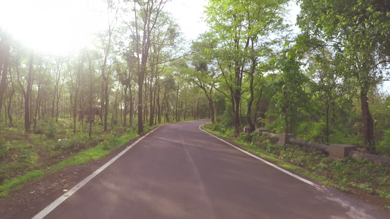 Jalan pagi dengan udara segar. Jalan kaki yang bugar dan sehat di jalan dengan pepohonan hijau di sisi-sisinya. Rekaman jalan pagi dengan kamera genggam.
