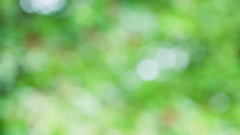 Abstract color background with bokeh motion