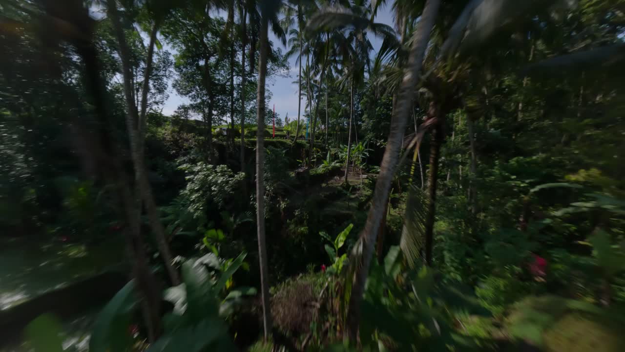 un dron fpv disparó sobre los campos de arroz a una mujer con un vestido de verano en un columpio