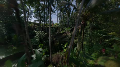 FPV-Drone-shot-over-rice-fields-to-a-woman-in-a-summer-dress-on-a-swing-set