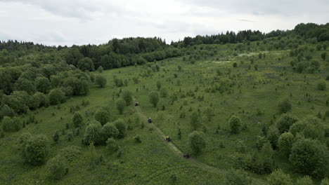 atv adventure in the mountains