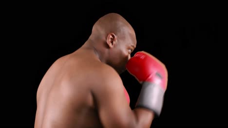 serious muscular boxer man practicing