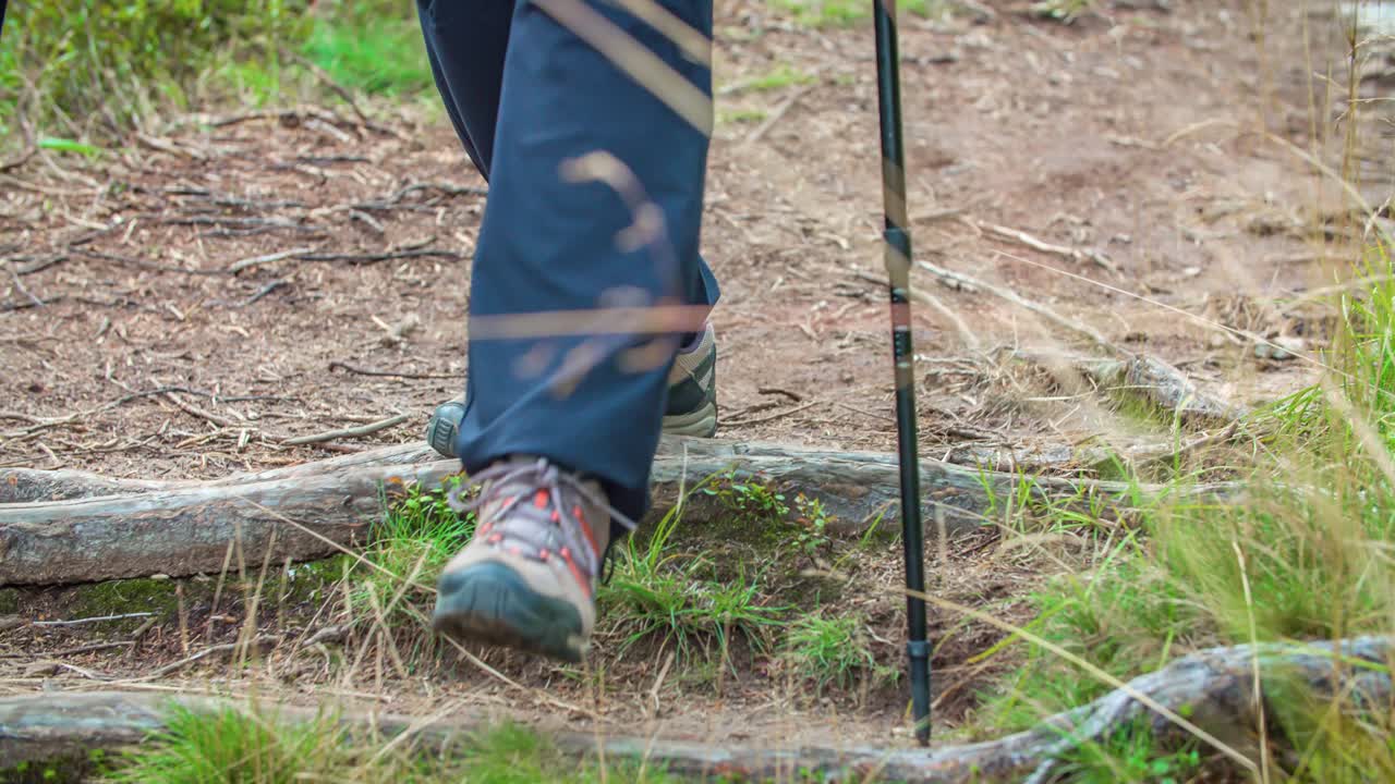 movimiento lento de los pies de un excursionista al caminar con un bastón